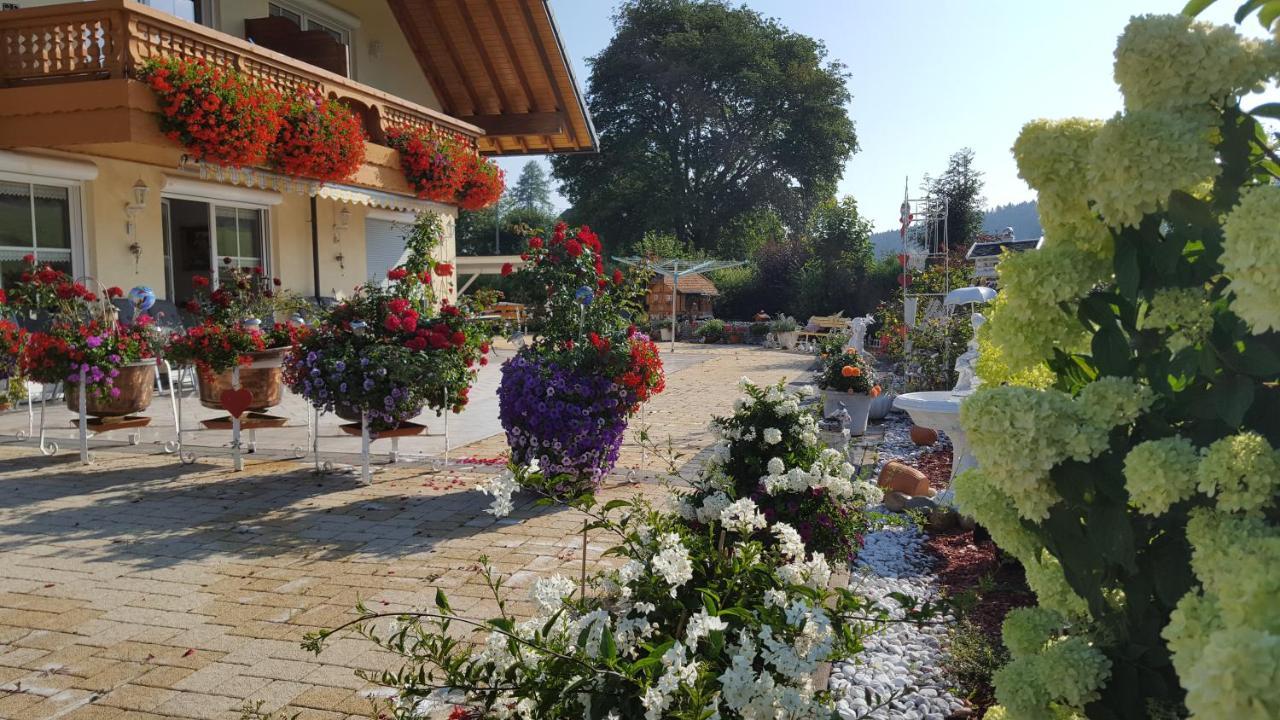 Appartement Rehblick Eisenbach (Breisgau-Hochschwarzwald) Exterior foto