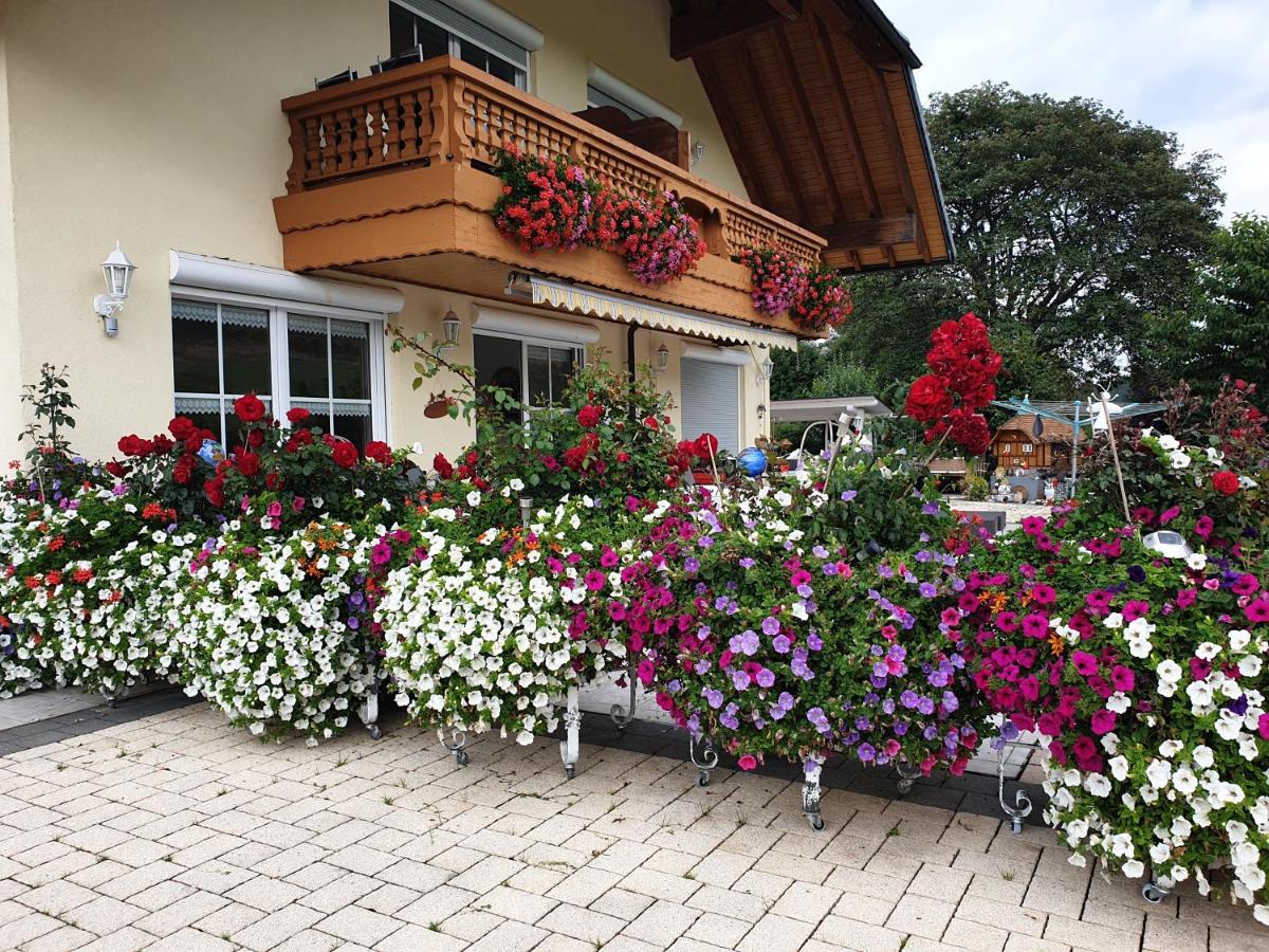 Appartement Rehblick Eisenbach (Breisgau-Hochschwarzwald) Exterior foto