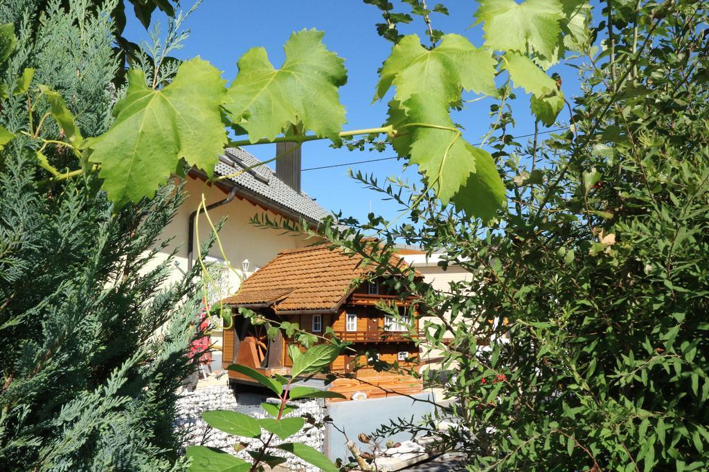 Appartement Rehblick Eisenbach (Breisgau-Hochschwarzwald) Exterior foto